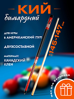 Кий бильярдный для пула FAVORITE ELITE A 10 двухсоставной